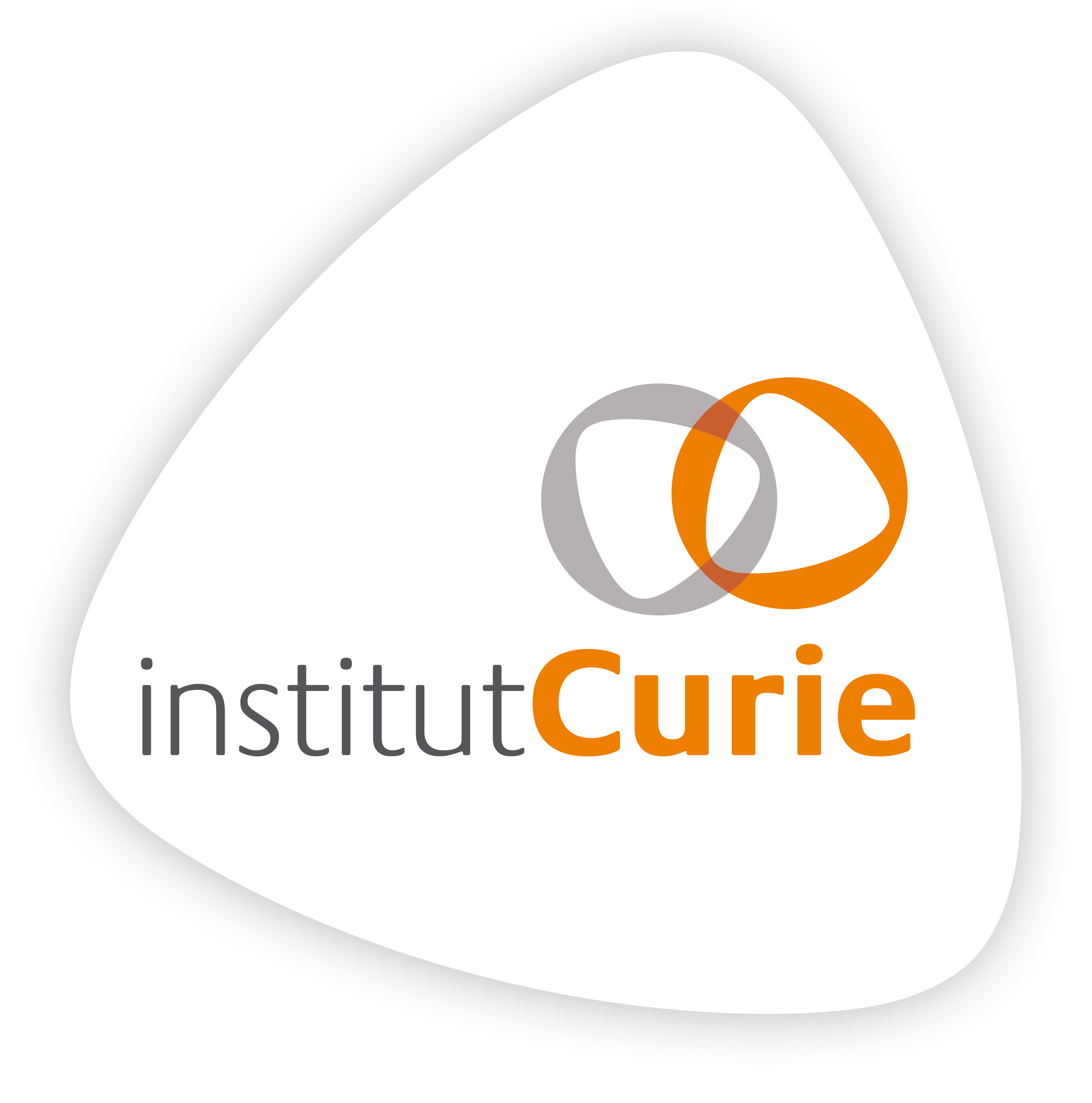 Logo Instiut Curie
