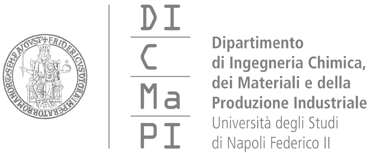 Logo Universitá degli Studi di Napoli Federico II
